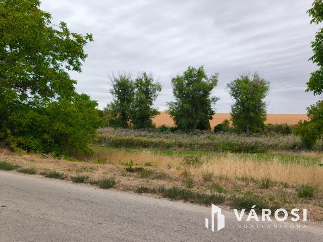 Csendes, vízparti hangulat a Balaton közelében!